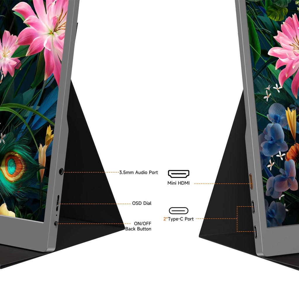 AYY Portable Monitor 15.6inch 1080P FHD, USB-C HDMI Computer Display, HDR IPS Gaming Monitor w/Premium Smart Cover & Screen Protector, Dual Speakers, for Laptop PC MAC Phone PS4 Xbox Switch, Grey