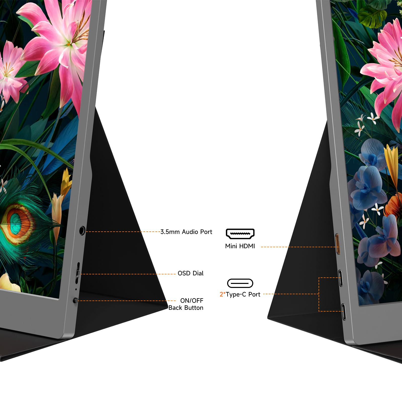 AYY Portable Monitor 15.6inch 1080P FHD, USB-C HDMI Computer Display, HDR IPS Gaming Monitor w/Premium Smart Cover & Screen Protector, Dual Speakers, for Laptop PC MAC Phone PS4 Xbox Switch, Grey